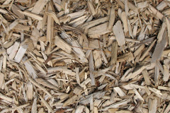 biomass boilers Llanfallteg